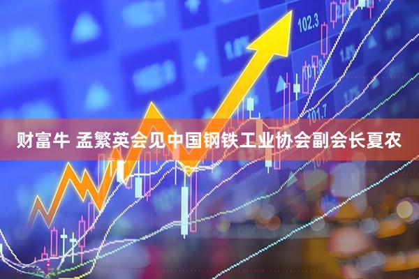 财富牛 孟繁英会见中国钢铁工业协会副会长夏农